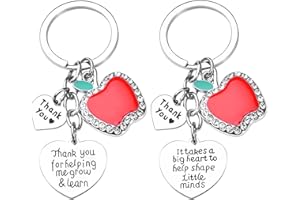 Inngeroo Teacher Appreciation Gifts in Bulk for Women, 2 PCS Apple Keychain for Teacher from Students, Graduation Thanksgiving Retired Gift, Birthday Christmas Stocking Stuffers for Professor Friend