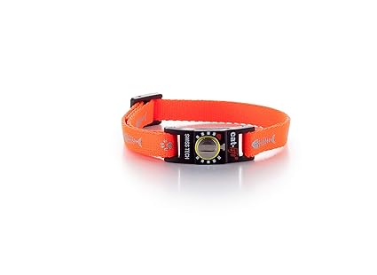 cat-life Halsband für Katzen Sicherheitshalsband Katzenhalsband mit Sicherheitsverschluss individuell einstellbar