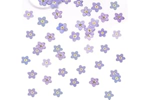 60 Pcs Dried Flowers Blue Natural Forget Me Not Dried Pressed Flowers for Candle Cake Decorations Transparent Bookmarks Resin