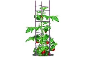 GROWSUN NO Splicing - 5ft Tall Tomato Cage 6-Pack Large Tomato Stakes Garden Plant Stakes Climbing Suports, 40 Clips and Plant Ties Include, Purple