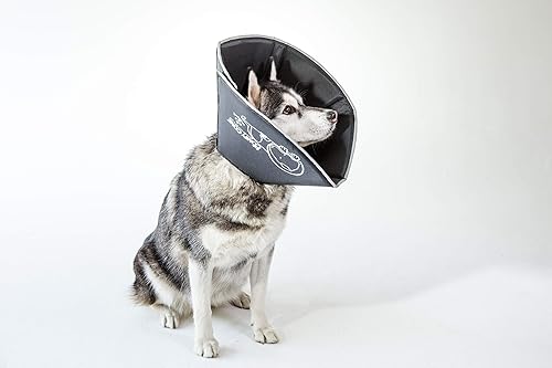 Four Paws Medium Dog Cone All Four Paws Comfy Cone Pet Cone For