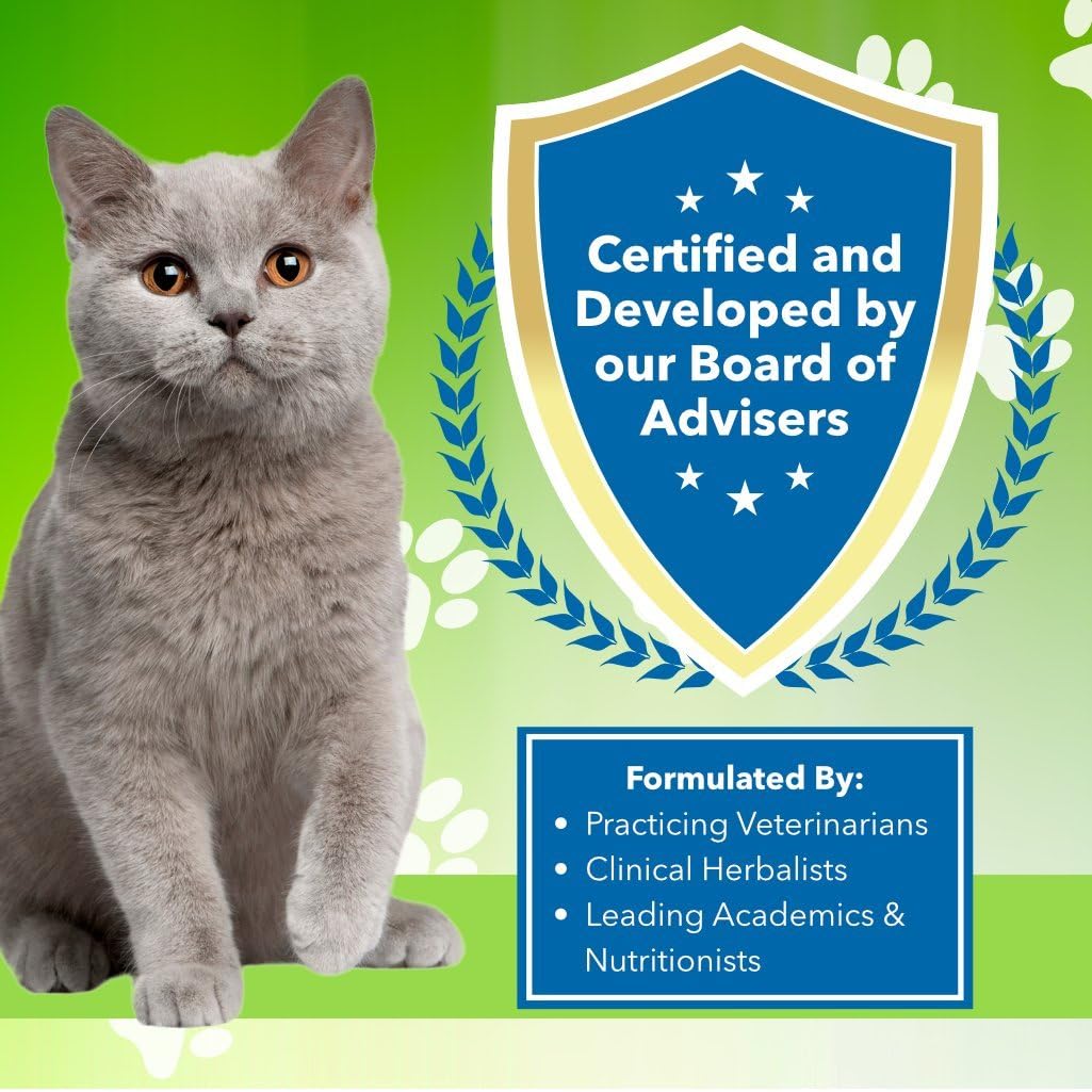 Pet Wellbeing Blood Sugar Gold for Cats - Natural Support for Healthy Blood Sugar Levels in Cats - 2 Ounce 59 Milliliter : Pet Supplies