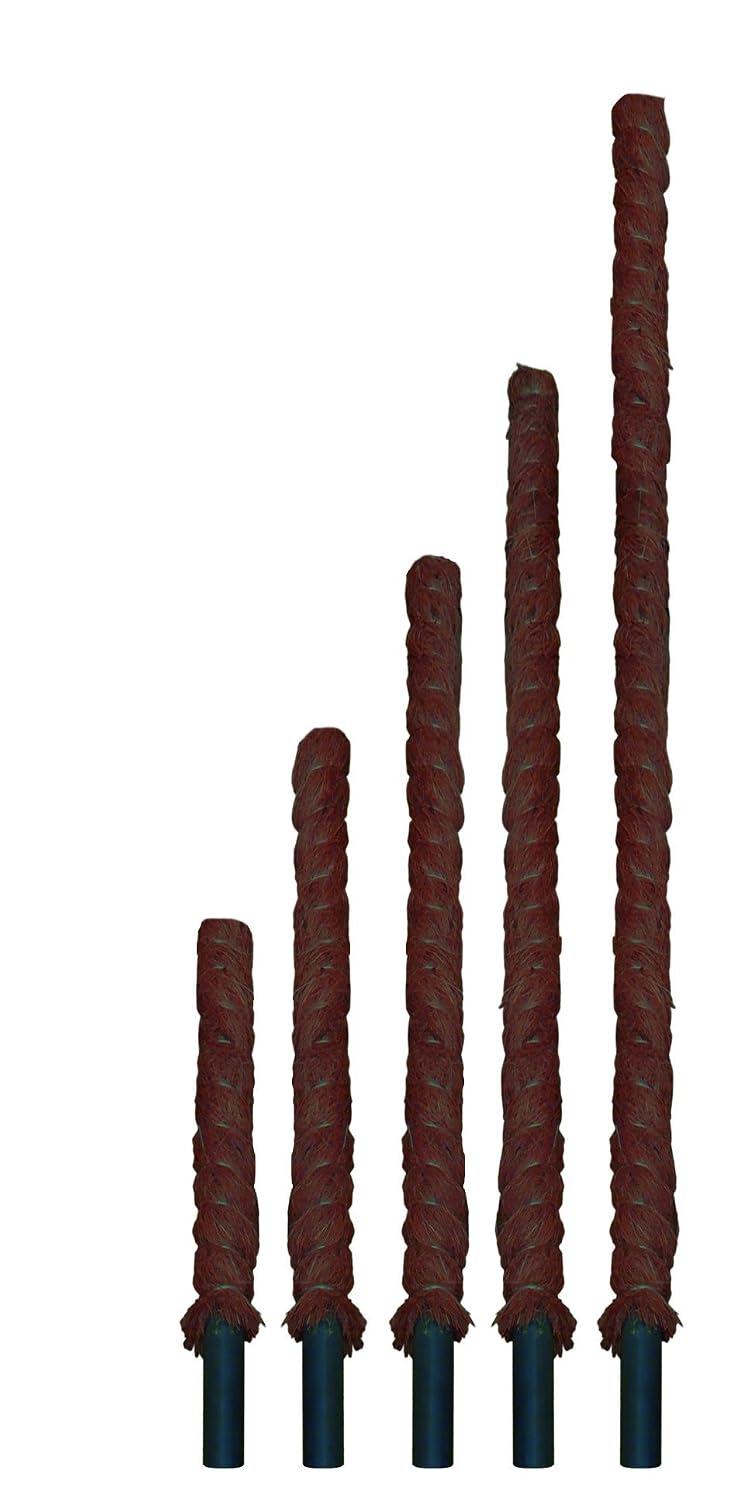Flower 55068 Tutor Coco, 44 mm, 80 cm, Marrón, 4.00x4.00x80.00 cm ...