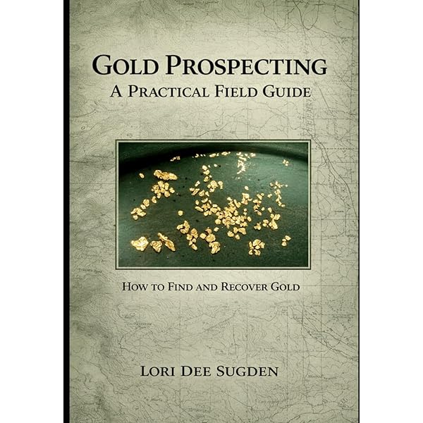 W.D. Gann Treasure Discovered: Simple Trading Plans for Stocks