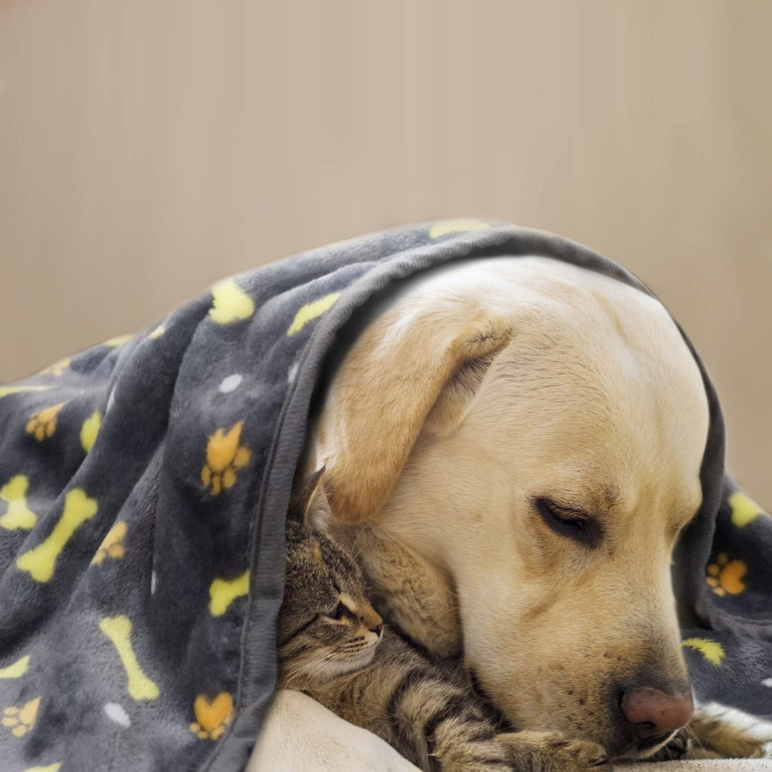 softan Dog Blanket, Fluffy Pet Blanket for Small Medium Large Dog, Washable Puppy Blanket, Soft and Warm Flannel Fleece Cat Blanket, 23"×31", Grey : Pet Supplies