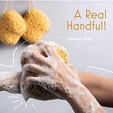 myHomeBody Bath Sponge Foam Loofah Large 3 Pack with Rope Hang Tag view 4