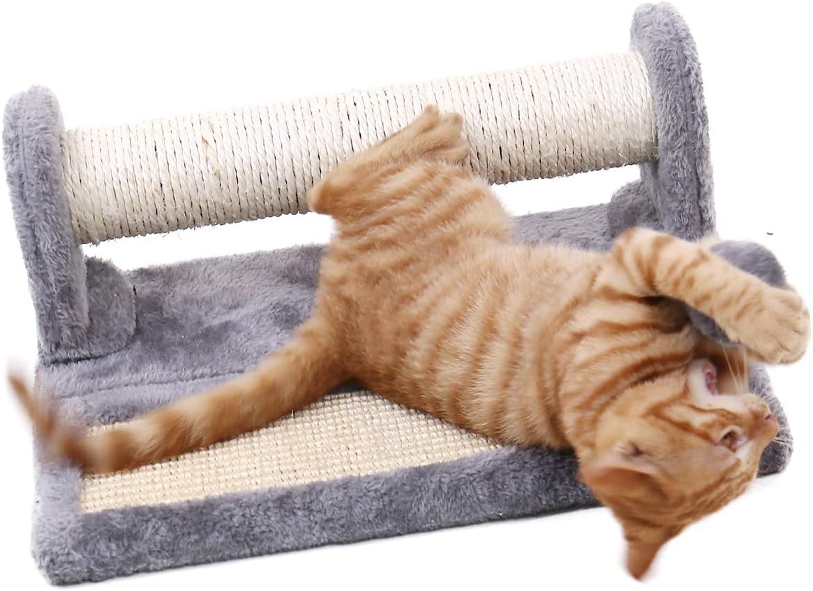 PAWZ Road Cat Scratching Post and Pad, Sisal-Covered Scratch Posts and Pads with Play Ball Great for Kittens and Cats : Pet Supplies