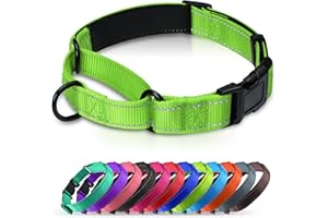 Erbine Neoprene Padded Martingale Collar for Dogs, Reflective Soft Nylon with Quick Release Buckle, Adjustable Dog Martingale Collars for Training & Daily Use (Green,M)