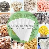 ZYLLZY 20Pcs Transparent Mushroom Grow Bags, 32x65cm, Autoclavable view 3