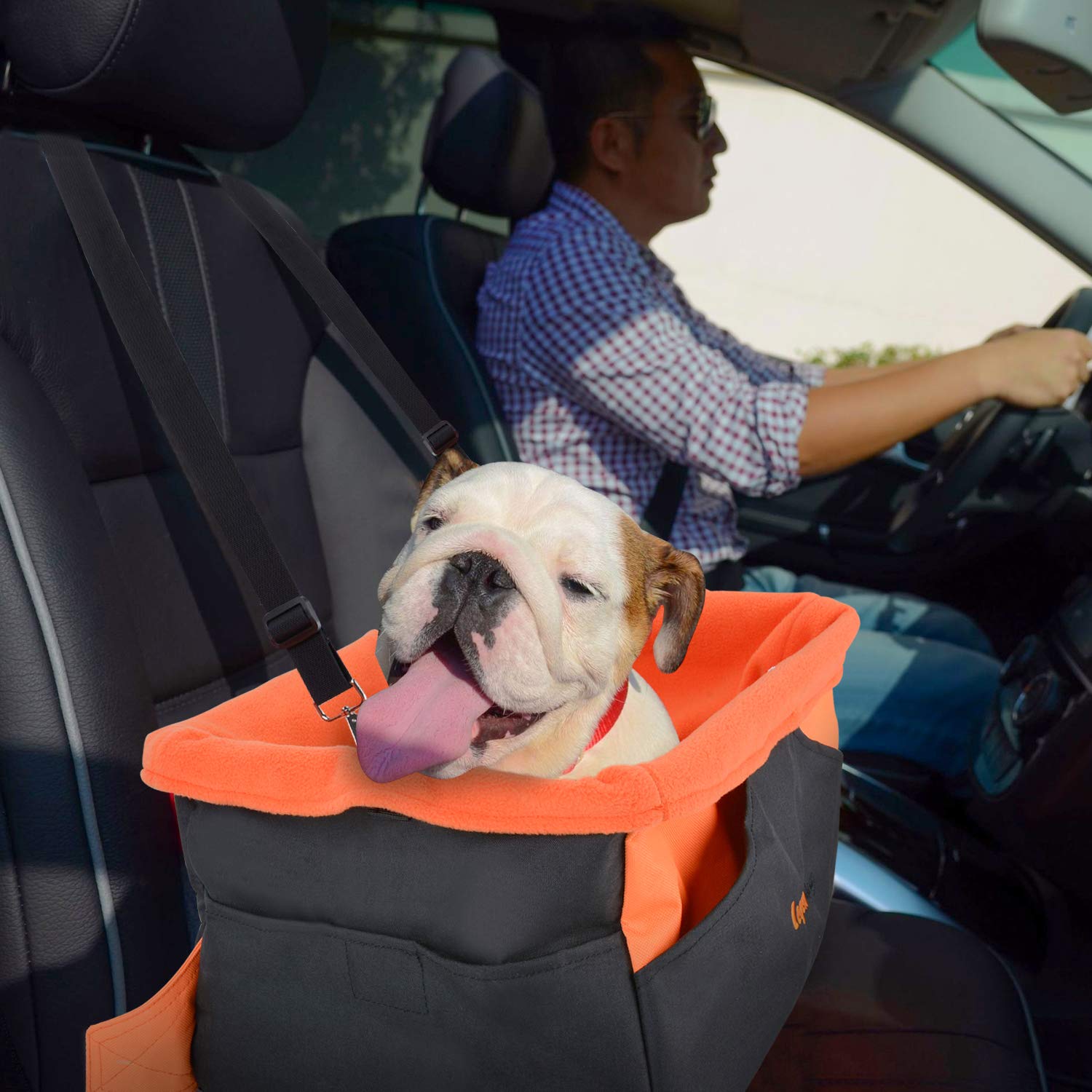 Legendog Dog Car Seat, Pet Booster Portable Travel Pet Car Seat Carrier for Dogs & Cats, Waterproof Pet Booster Carrier with Cushion & Adjustable Strap (Pet Car Seat)