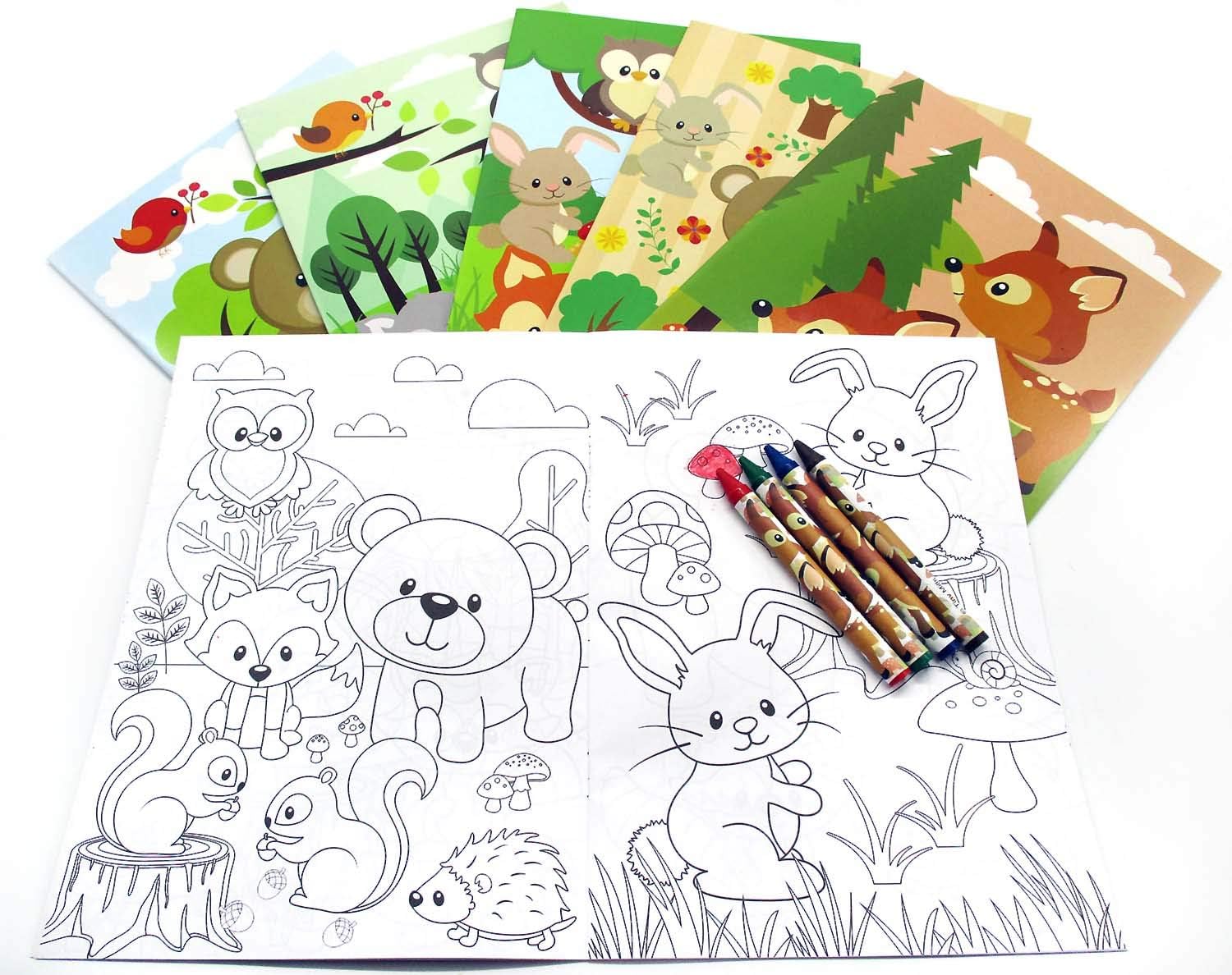 TINYMILLS Woodland Animals Coloring Book for Kids Party Favor Set with 12 Coloring Books and 48 Crayons Cute Forest Creatures Birthday Party Supplies Woodland Creatures Party Favor Bag Fillers: Toys & Games