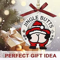 Funny Christmas Ornaments 2025, Funny Ornaments for