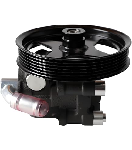 Power Steering Pump W/ Pulley For Ford F-150 Lobo 2009 V8 4.6L 5.4