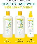 Andalou Naturals Sunflower Citrus Medium Hold Hair Spray 242ml Flexible Style view 3