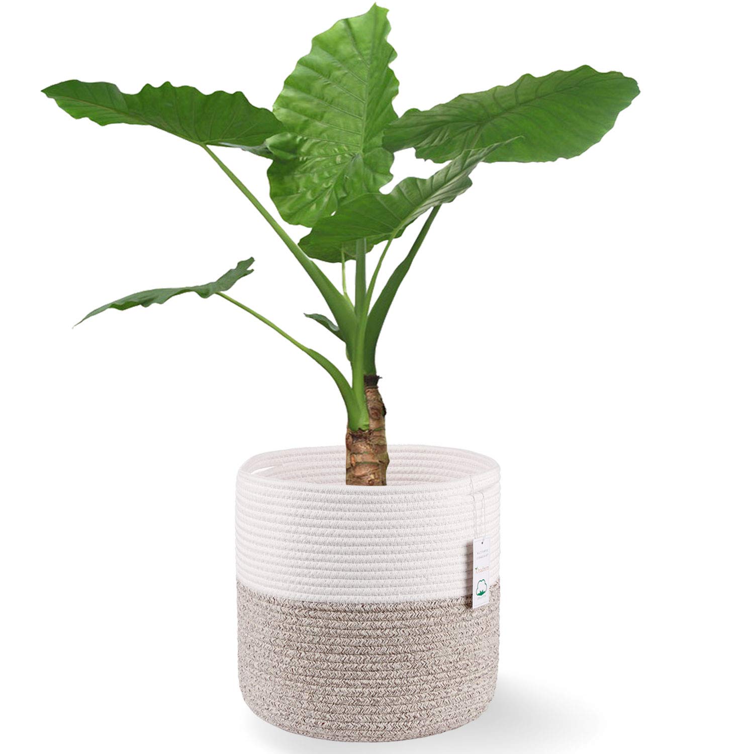 Photo 1 of Oradrem Woven Cotton Rope Plant Basket for 11 inch Flower Pot Floor Indoor Planters,Decorative Small Basket for Plants Storage Organizer Modern Home Decor (12" x 12", Khaki)