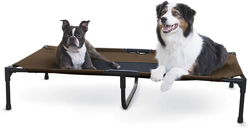 dog cot amazon
