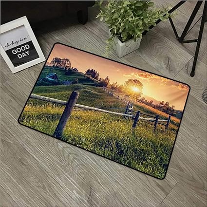  Anzhutwelve Europeindoor Floor Mats Morning