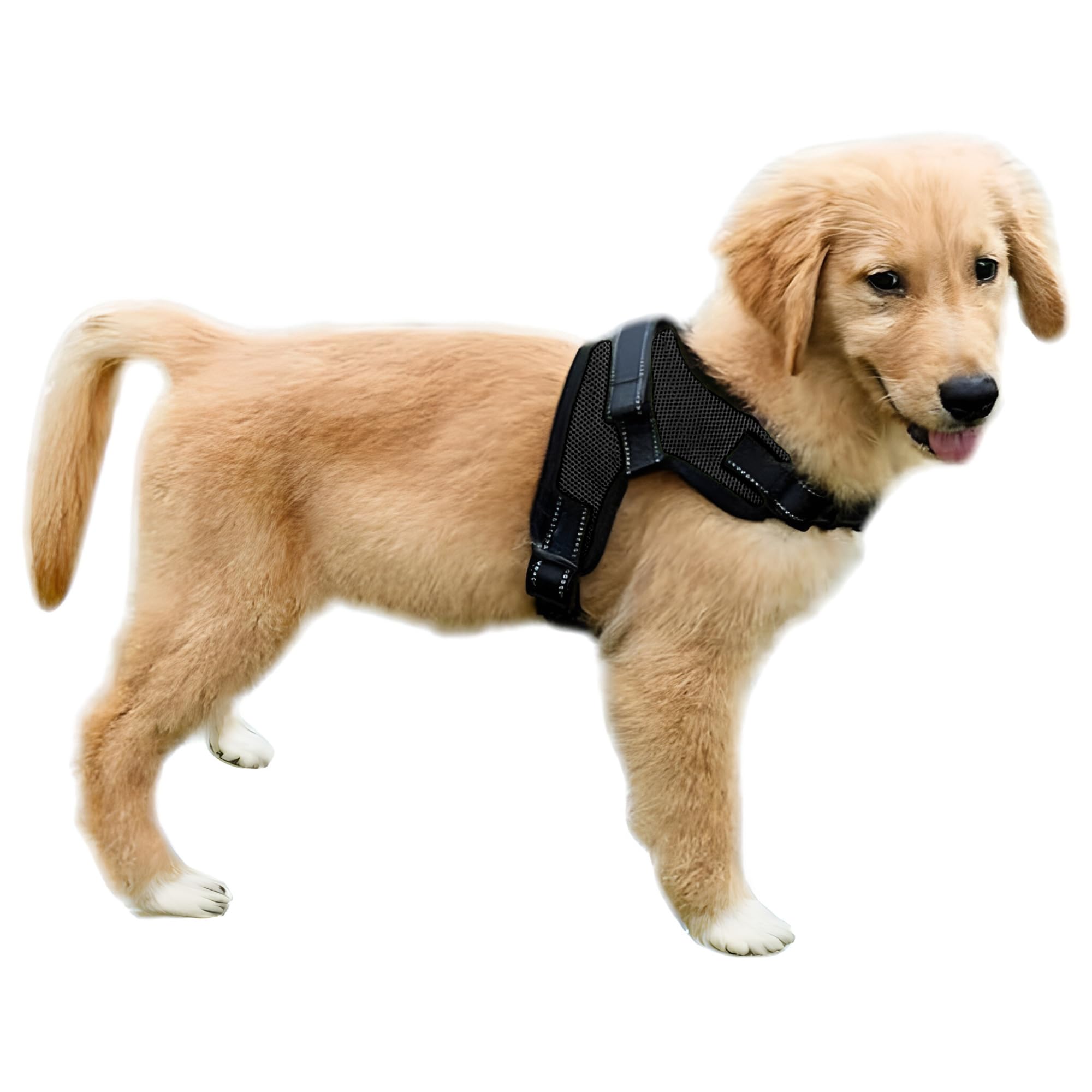 Copatchy No Pull Reflective Adjustable Dog Harness With Handle- Comfortable Soft All Weather Mesh, Easy On Puppy Harness For Small Medium and Large Dogs (Black) Medium — image 1