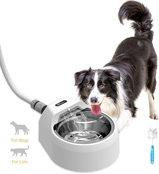 water bowl dispenser