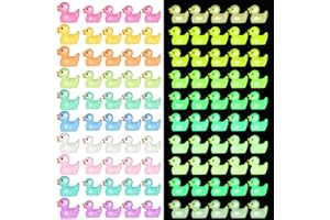 HEQU 100 Pcs Mini Ducks Tiny Ducks to Hide Glow in The Dark Mini Resin Animals Resin Duck Miniature Figures Tiny Animals for 