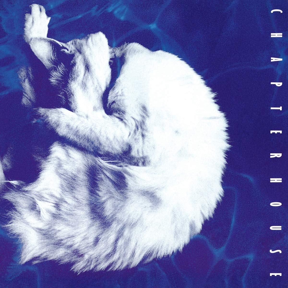 Whirlpool [Limited Blue & Silver Marble Colored Vinyl]