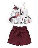 Kucnuzki Toddler Baby Girl Clothes Summer Outfits
