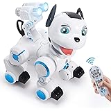 hi tech robot dog