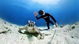 Insta360 X3 Invisible Dive Case with Dome Port for Clear 360 Underwater Shots view 4