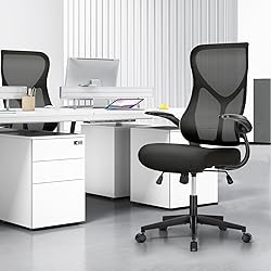 SMUG Ergonomic Office Desk Computer Chair,Comfy