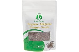 KOPABANA Organic Alligator Pepper Seeds| Organic Alligator pepper Alligator pepper, Mbongo spice | Pepper Spice |Ataare |Guinea Pepper | Alligator Pepper | Grains of Paradise | Lizard Pepp 1oz