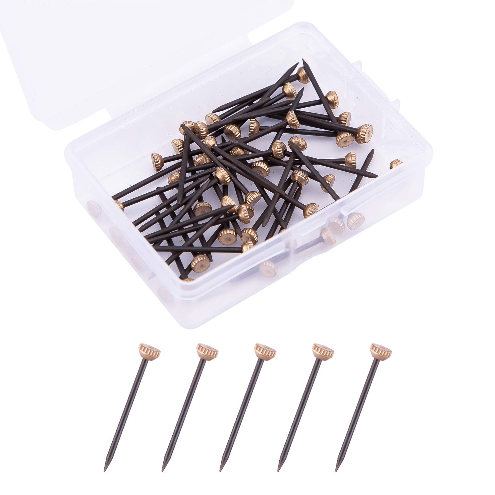 AIEX 50 Pieces Hanging Nails Photo Hanging Solutions Plaster Frame Hangers with Plastic Storage Box Picture Hanging Tacks Picture Hook Pins for Hard Walls