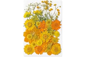 MUCBAFLY Dried Pressed Flowers for Resin, Real Pressed Flowers Dry Leaves Bulk Natural Herbs Kit for Scrapbooking DIY Art Crafts, Nails Décor, Epoxy Resin Jewelry, Candle, Soap Making (Yellow 3)