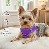 Joytale Step in Dog Harness Soft Mesh Reflective Vest XXXS Purple view 4