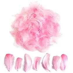 300pcs Pink Feathers 2-3 Inches Bulk Feathers for