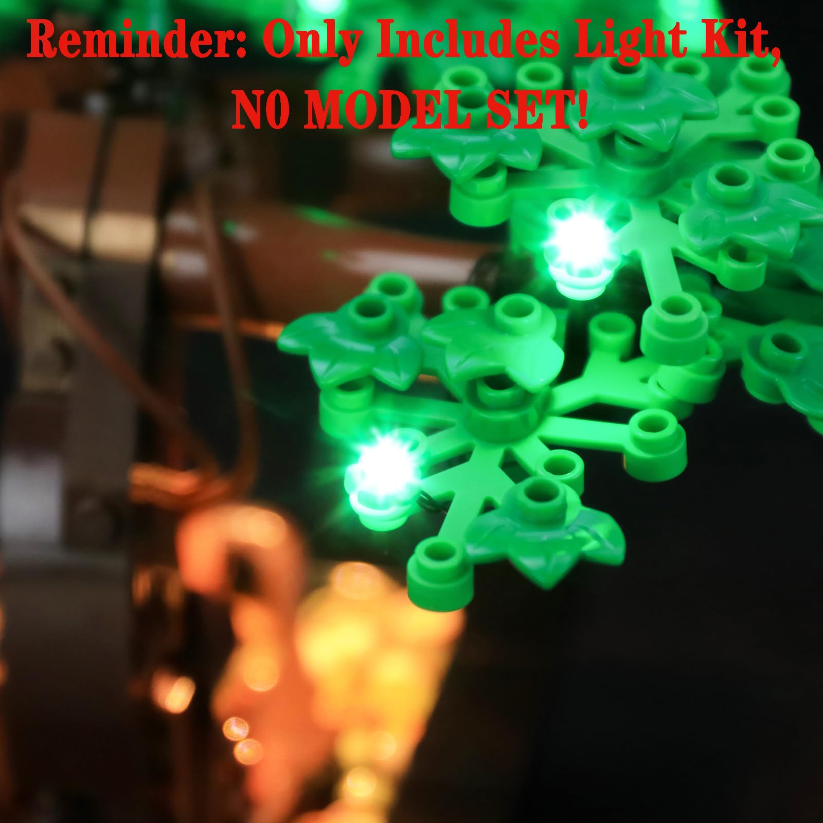 View 5