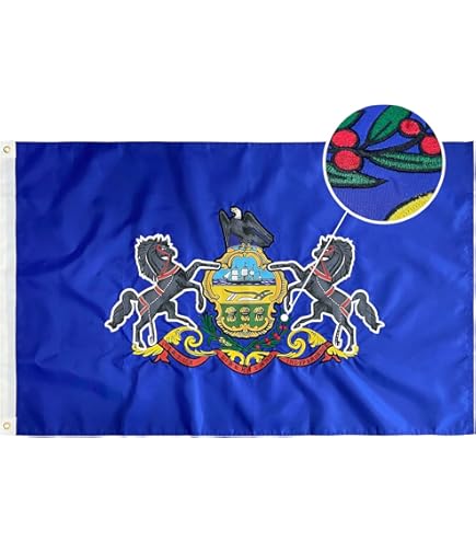 Mastica La Mascotte Di Cleveland Ohio NFL Cleveland Browns Fotografia - Foto 10