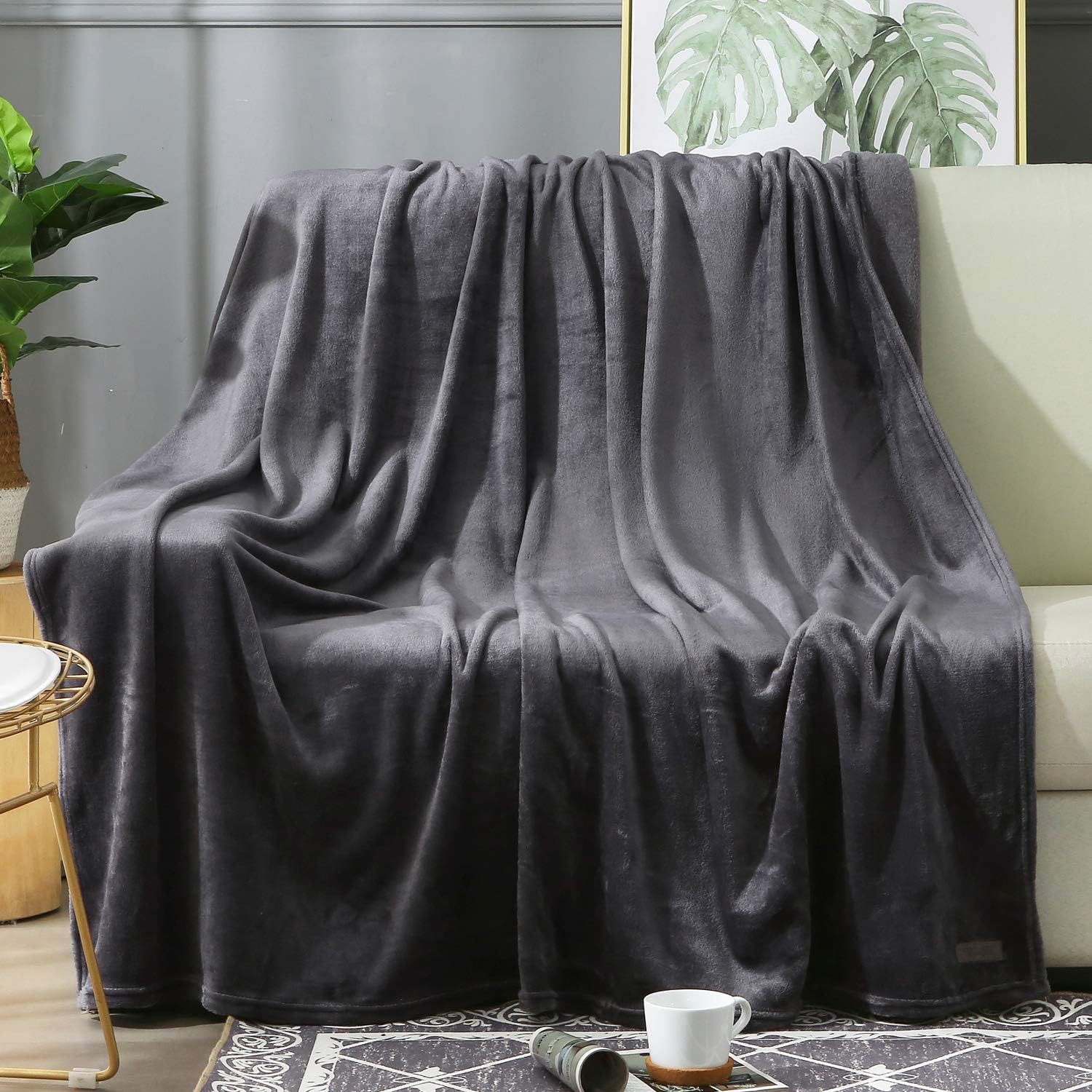 BEAUTEX Fleece Blanket Twin Size Grey Blanket Throw Super Soft Flannel Blanket Lightweight Fuzzy Plush Blanket for Couch Sofa or Bed All Seasons (Graphite Grey, 60" x 80"): Kitchen & Dining