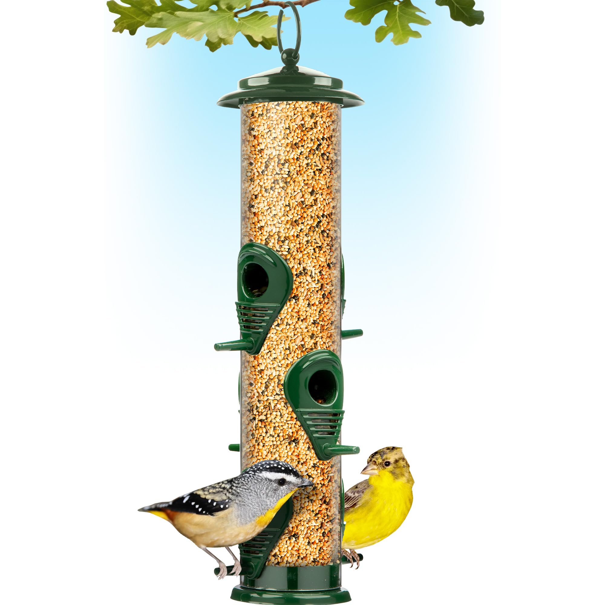 Photo 1 of Bird Feeders for Outdoors (Green) Squirrel Proof Hanging Bird Feeder with Locking Lid & Adjustable Hanger, Chew-Proof, Weather Resistant 15 Inches 6 Port