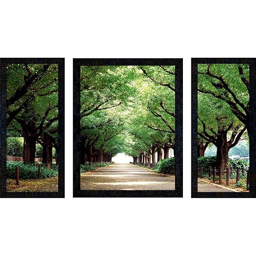 Poster N Frames Set of 3 with Print of Landscape Scenery with Wooden