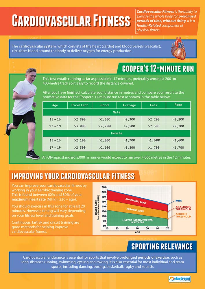 Daydream Education Cardiovascular Fitness | PE Posters | Laminated Gloss Paper measuring 850mm x 594mm (A1) | Physical Education Charts for the Classroom | Education Charts