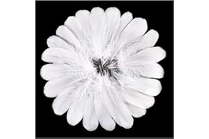 FeelfunFeather 120pcs White Goose Feathers 6-8 Inch 15-20cm Decorative Natural Goose Nagoire Feather Bulk for DIY Crafts Cosplay Wedding Party Christmas Halloween Home Decoration