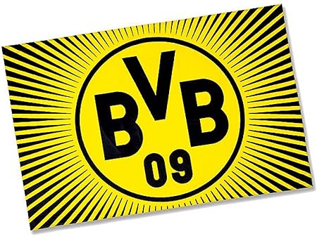 Bvb 09 Borussia Dortmund Schwenkfahne Sonne 100 X 150 Cm Fahne Flagge Sonnenmuster 09133500 Amazon De Garten