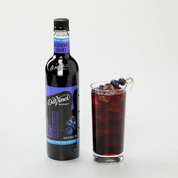 DAVINCI GOURMET SUGAR-FREE BLUEBERRY SYRUP, 25.4 FLUID OUNCES (PACK OF 1)