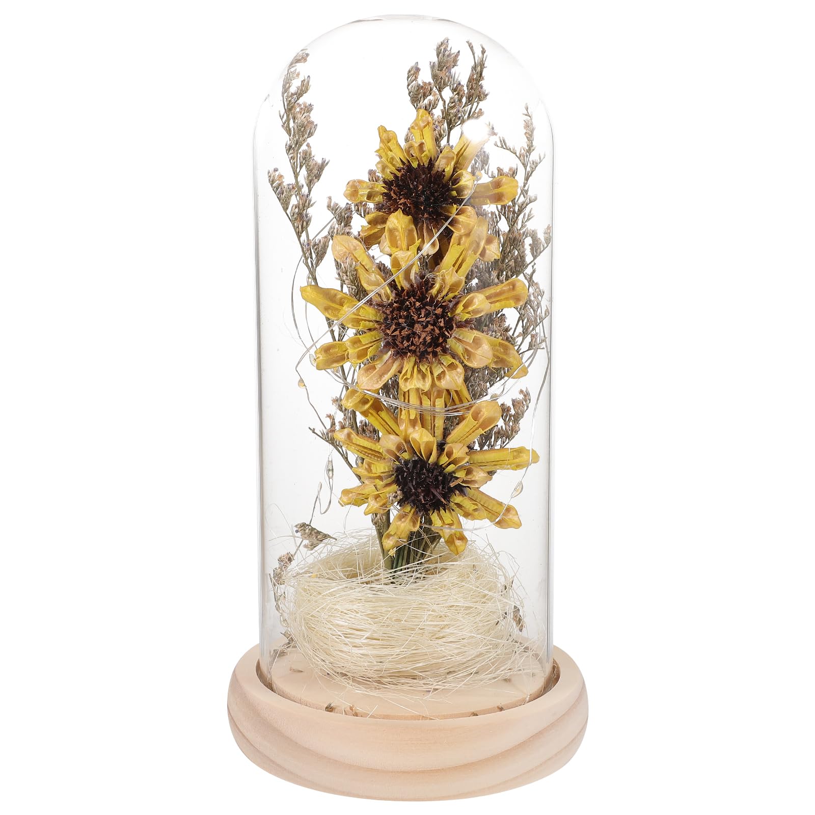 Sunflower in a Glass Dome with LED Lights Decorative Table Lamp Preserved Flower for Her Mothers Day Valentines Day Anniversary
