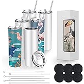 BetterSub 20 oz Sublimation Tumblers, 6 Pack Skinny Straight Stainless Steel Blanks with Lids & Straws, Double Wall Insulated White Cups, Includes Brush and Display Box