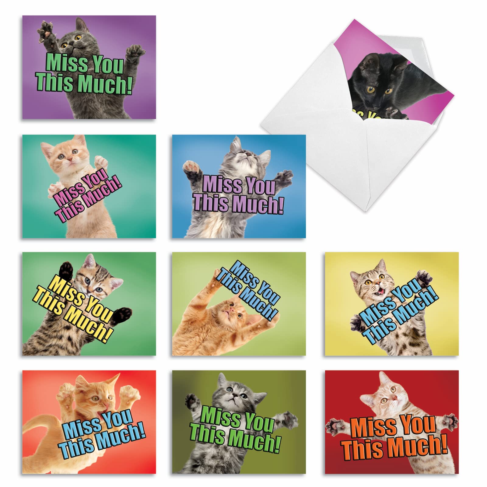 M6599MYBsl Cat Miss You This Much: 10 Assorted Blank Miss You Note Cards Featuring Cats Holding Their Arms Wide to Show You How Much They Miss You, w/White Envelopes. by The Best Card Company