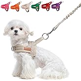 BEAUTYZOO Dog Harness for Small Dogs, No Pull Dog Harness and Leash Set, Soft Escape Proof Puppy Vest Harness with Handle, Reflective Lightweight Step in Harness for Girl Boy Dogs, Beige XS
