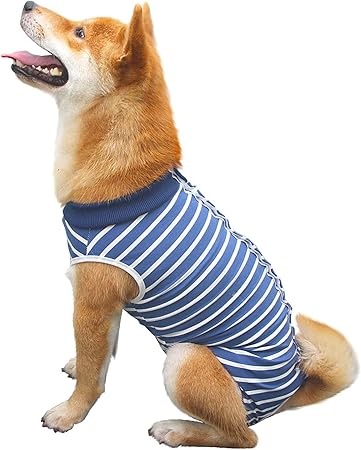 dog recovery suit pets at home