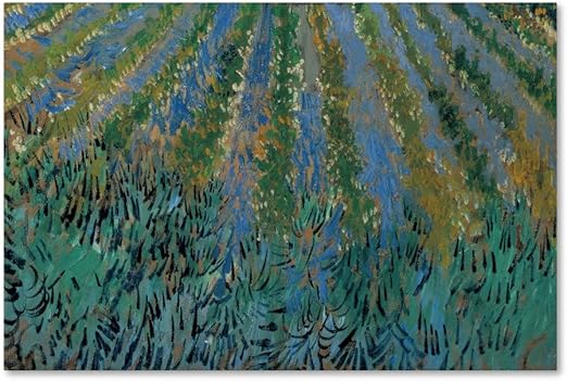 saintes maries van gogh