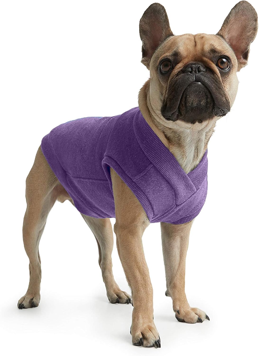 comfort sweater for dogs